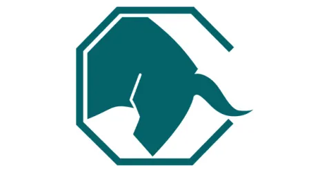 spazzatrice industriale con tecnologia brevettata BULLsystem