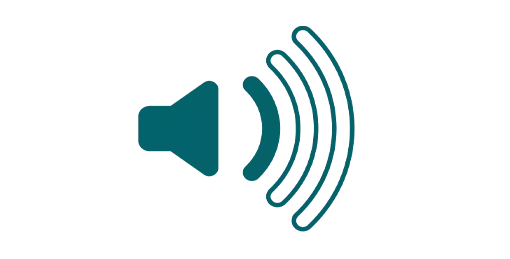 Logo White Sound