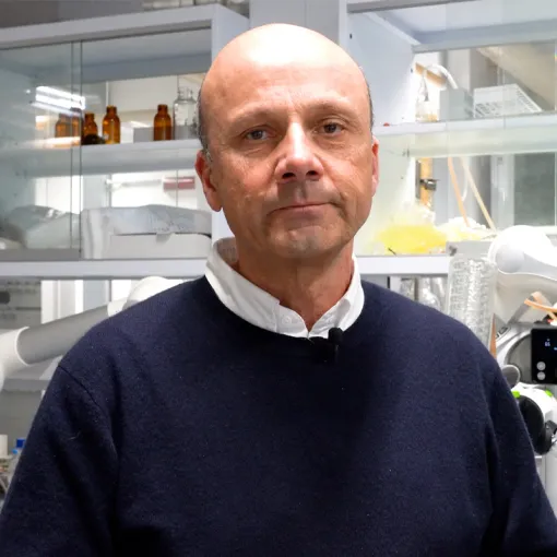 Prof. Alvise Perosa - Dipartimento di Scienze Molecolari e Nanosistemi Università Ca' Foscari Venezia